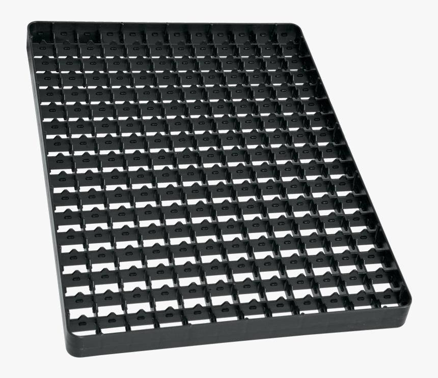 Quail Png, Transparent Png