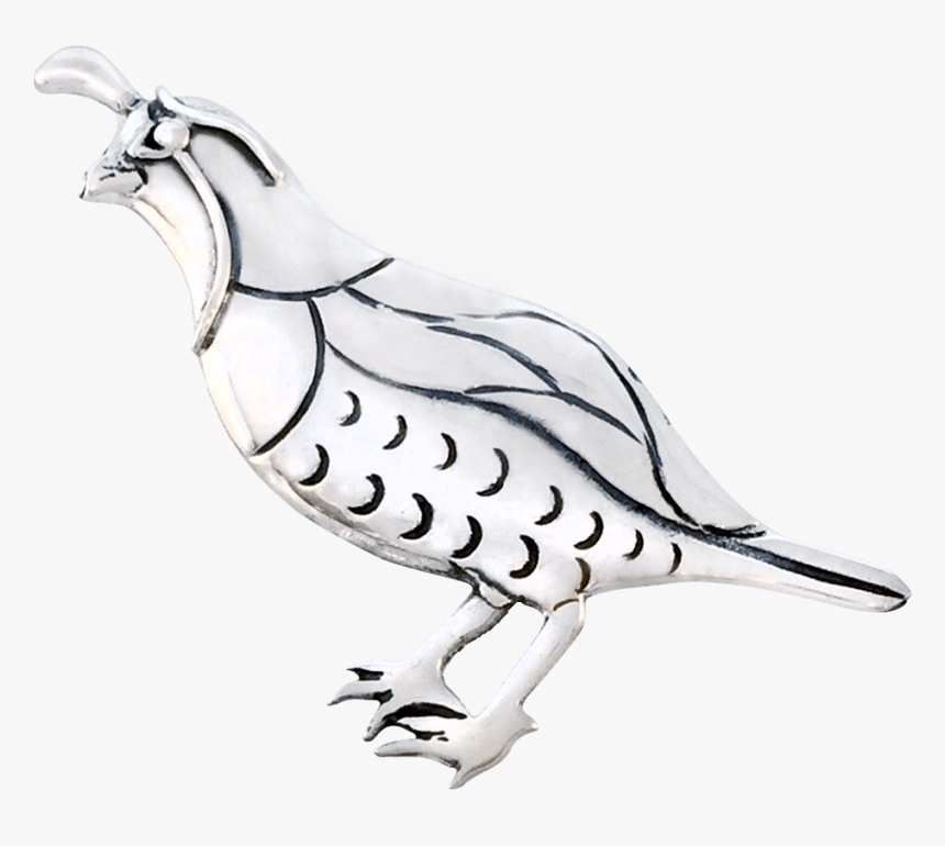 Quail Png, Transparent Png
