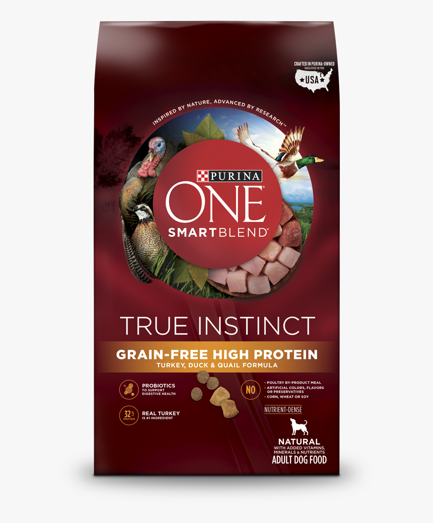 Quail Png, Transparent Png