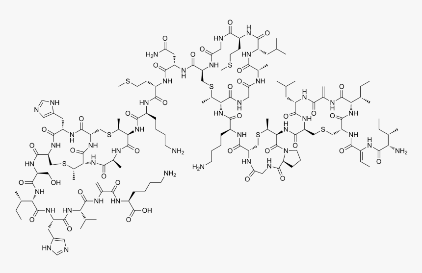 File - Nisin, HD Png Download