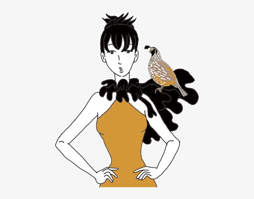 Quail, HD Png Download