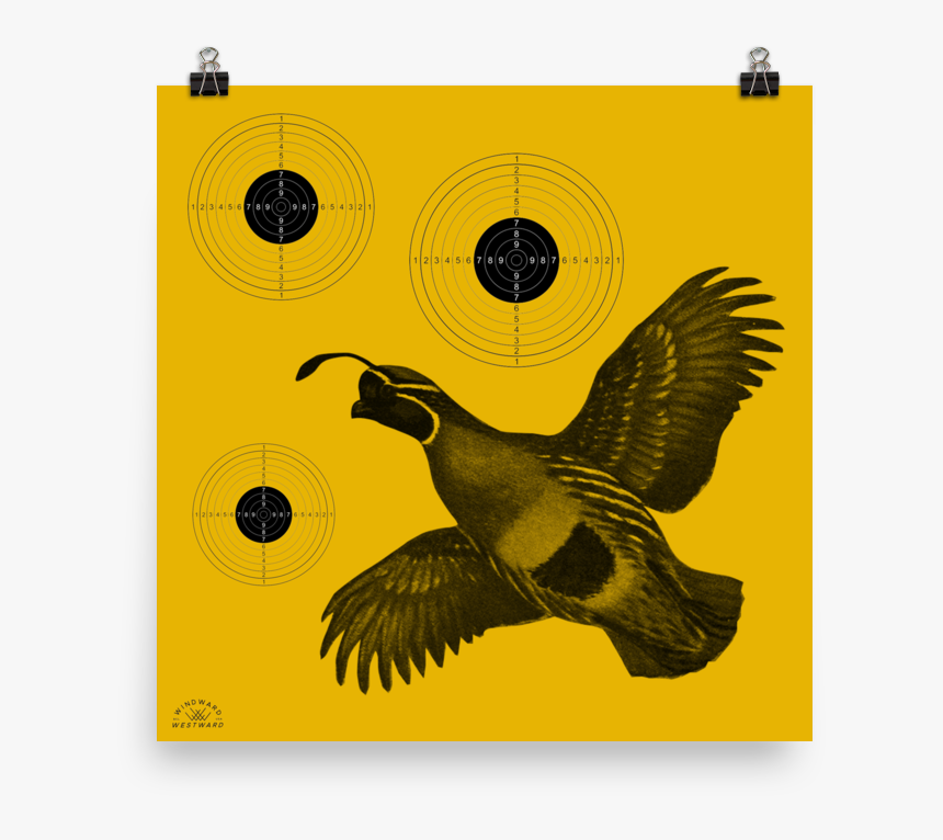 Quail Target, HD Png Download