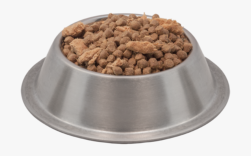 Quail Png, Transparent Png