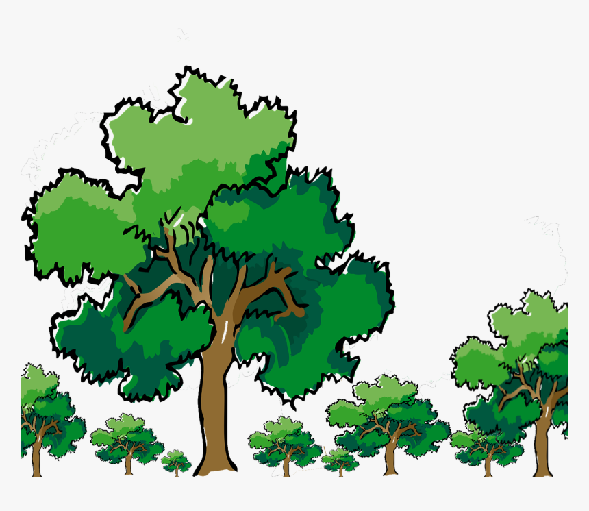 Oak Tree Clipart 20,, HD Png Download