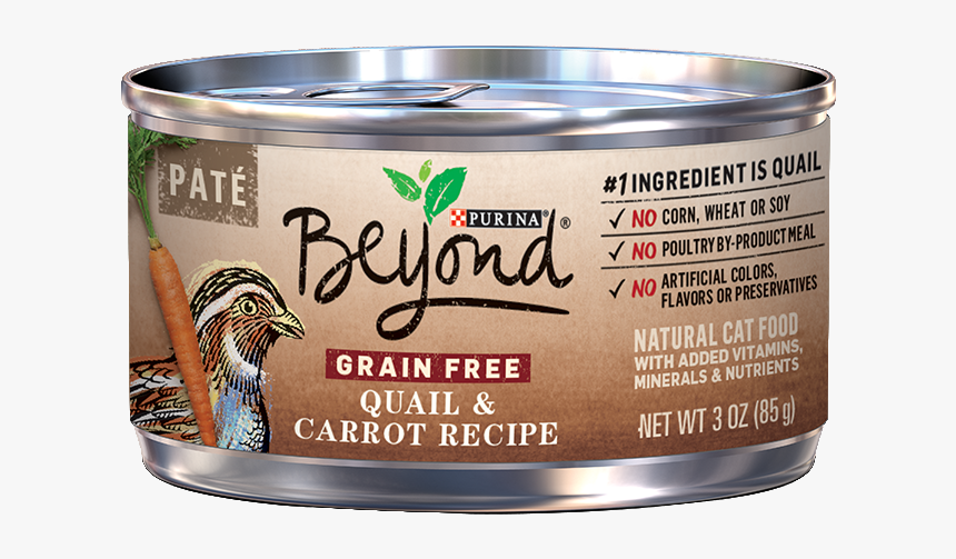 Quail Png, Transparent Png