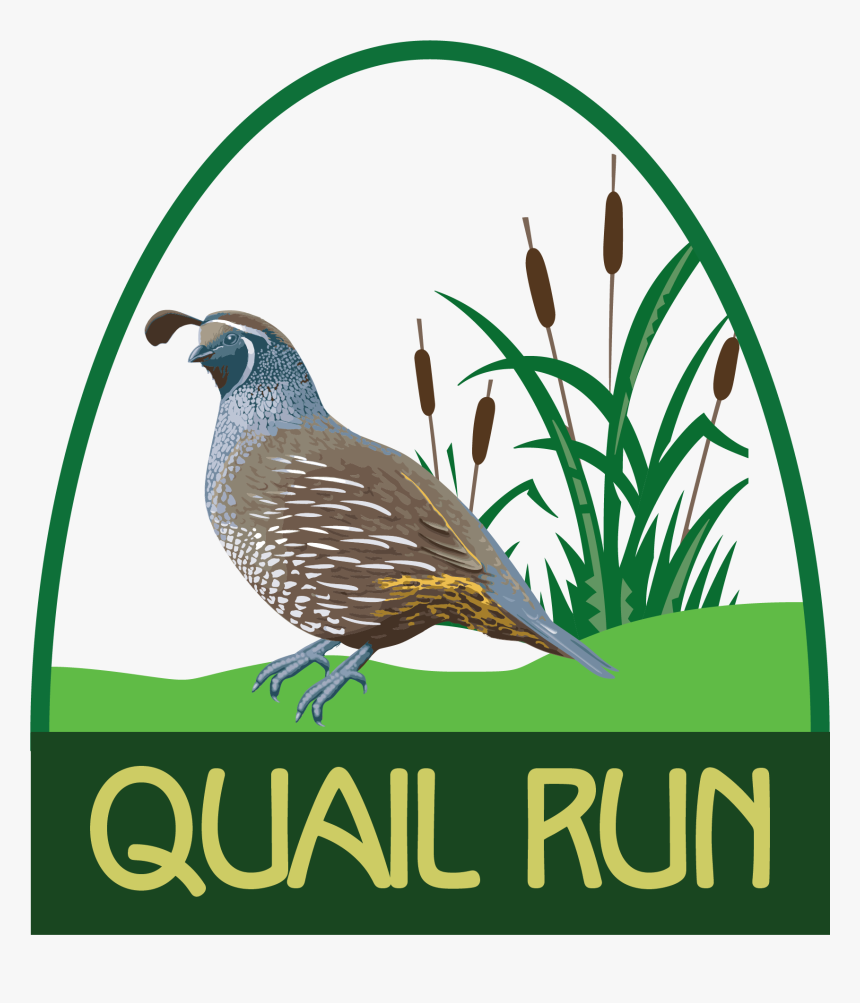 Quail Run Golf Links, HD Png Download