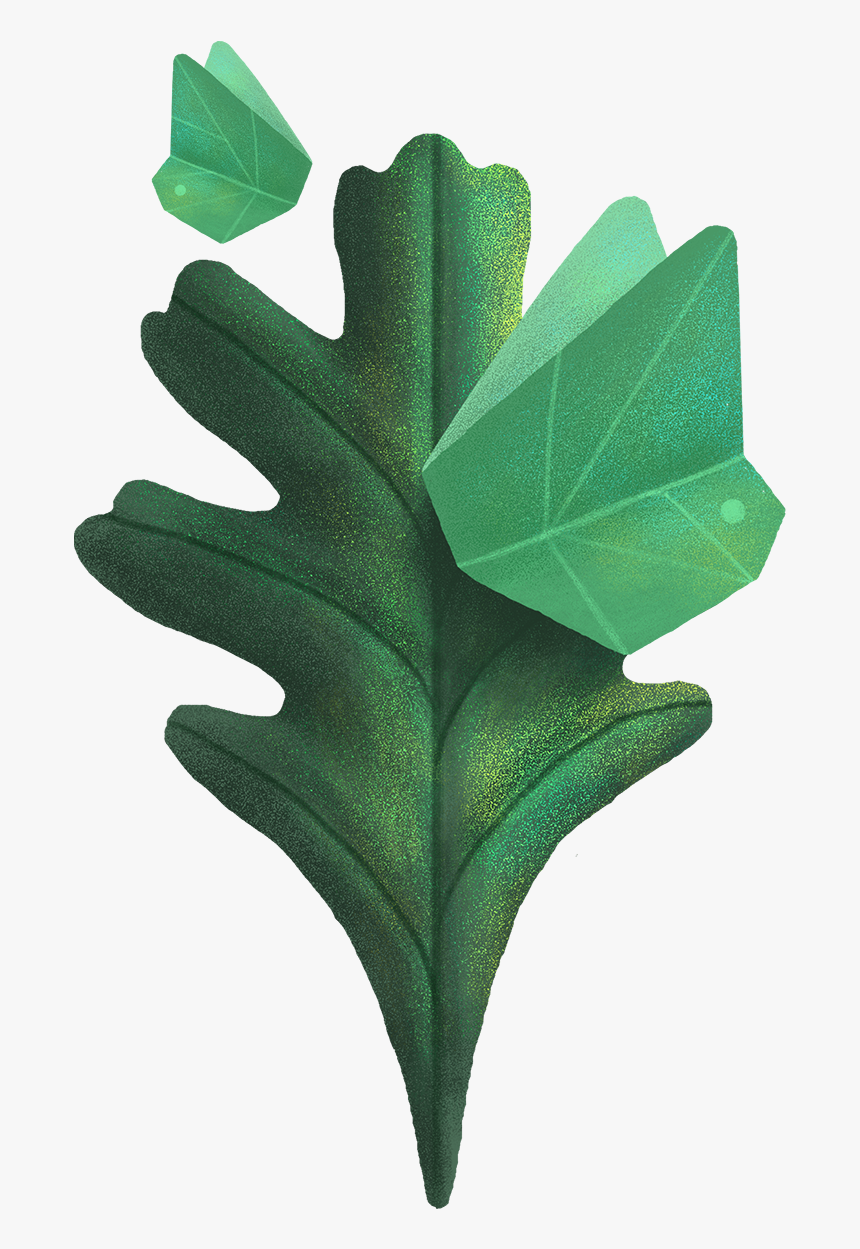 Gambel Oak, Hd Png Download , Png Download, Transparent Png