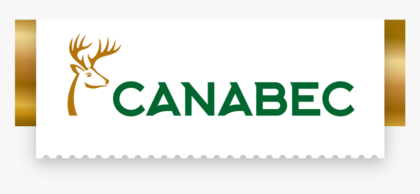 Quail Png, Transparent Png