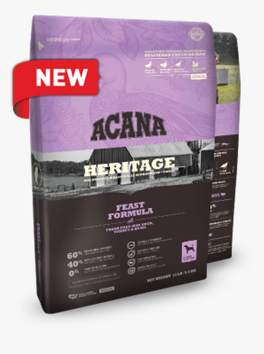 Quail Png, Transparent Png