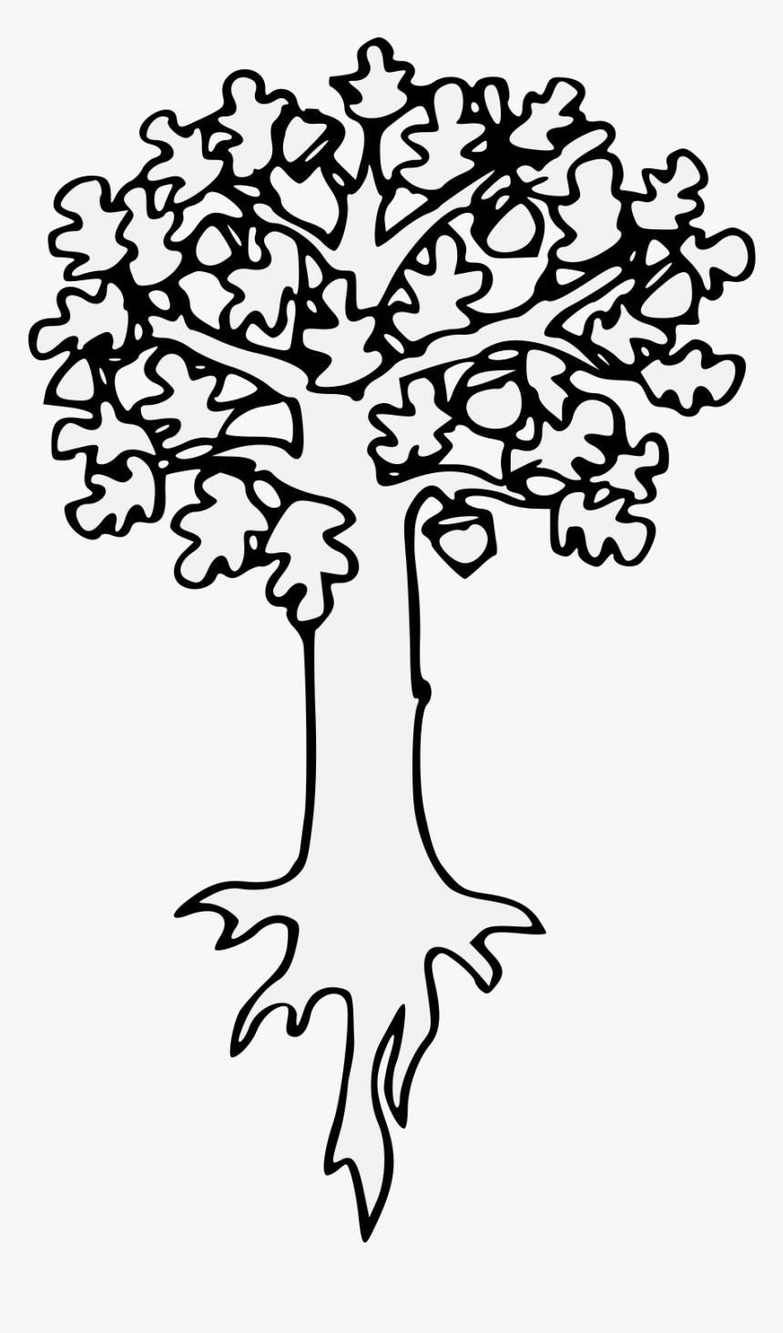 Oak Png, Transparent Png