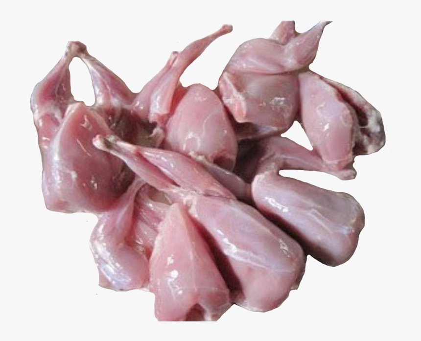 Quail Png, Transparent Png