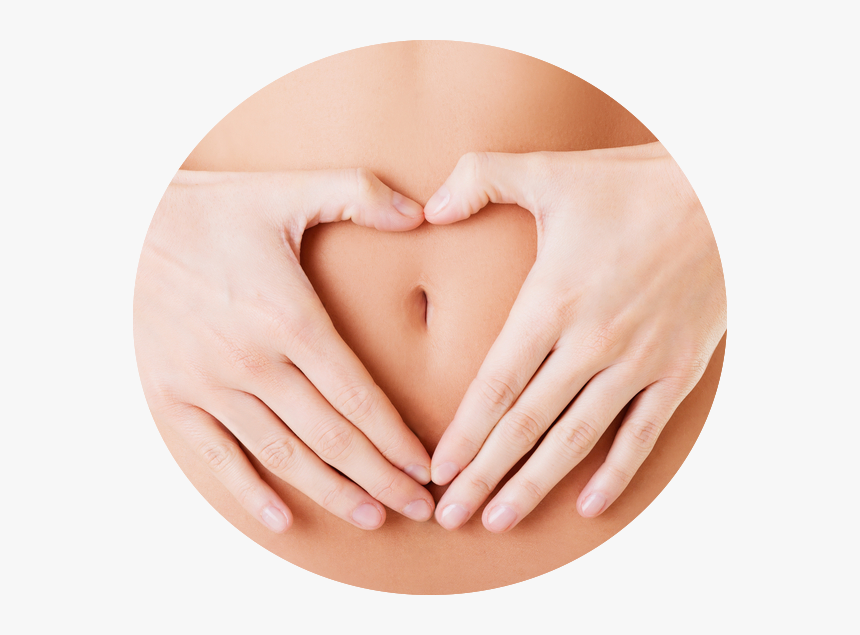 Feel Healthy, Light, Clean & Full Of Energy With Colon, HD Png Download