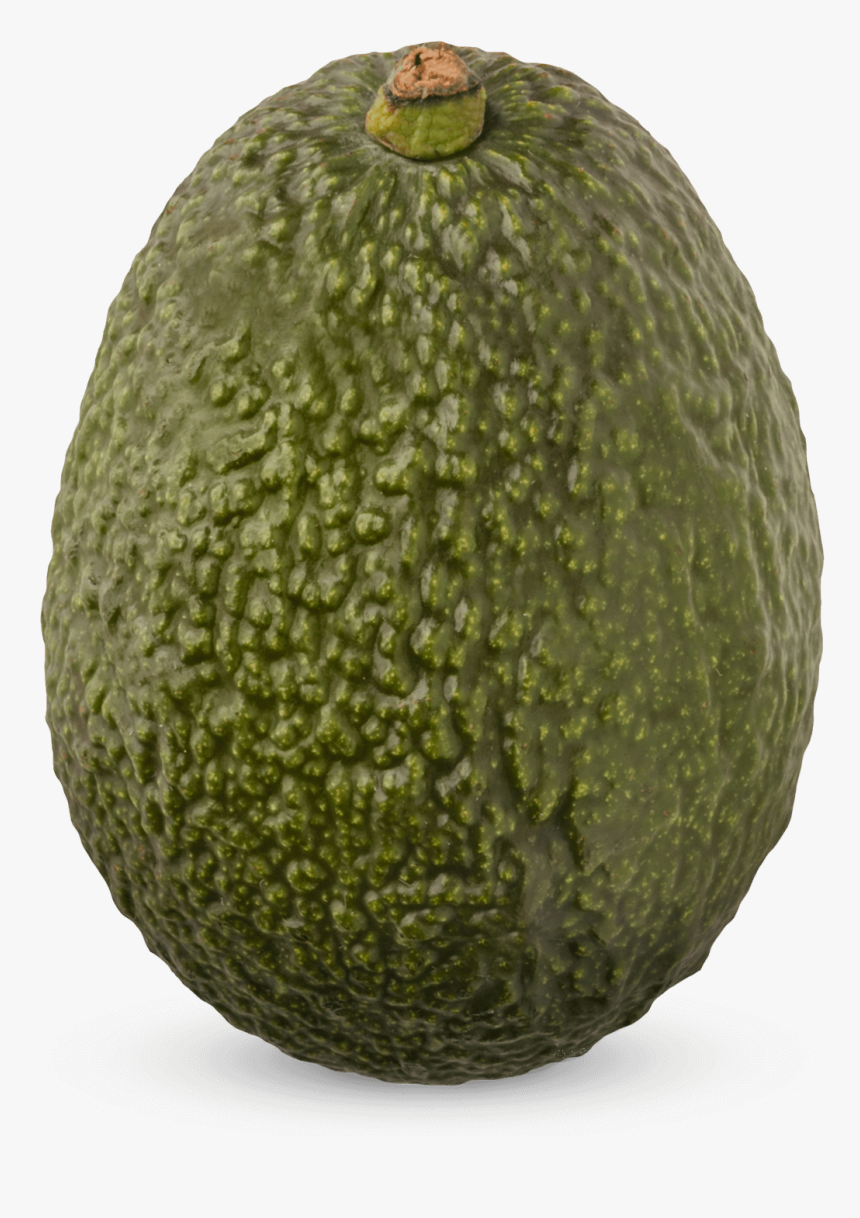 Dominican Republic Png, Transparent Png