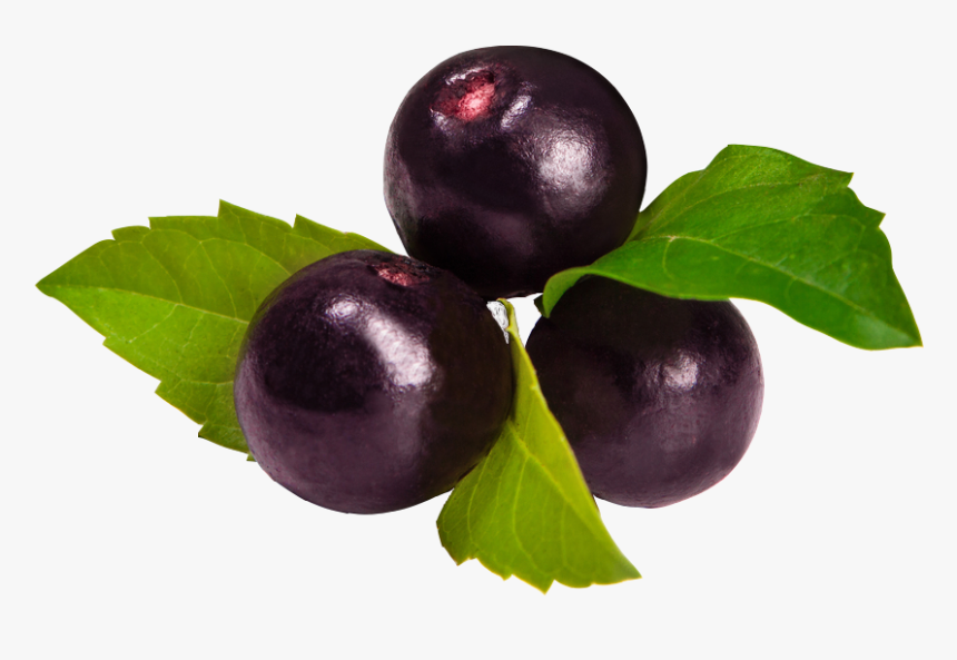 Acai Png, Transparent Png