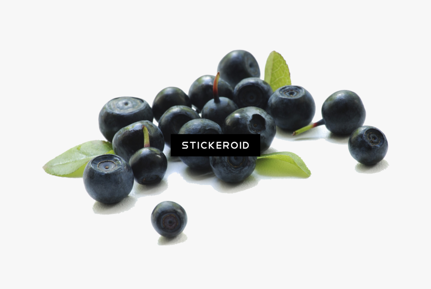 Acai Berry Powder Premium, HD Png Download