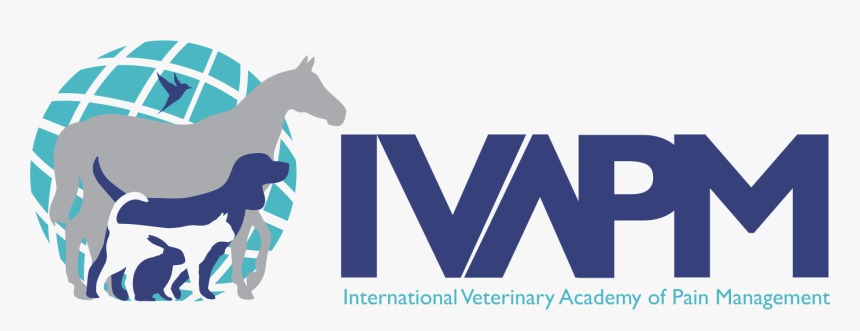 Geico Png, Transparent Png