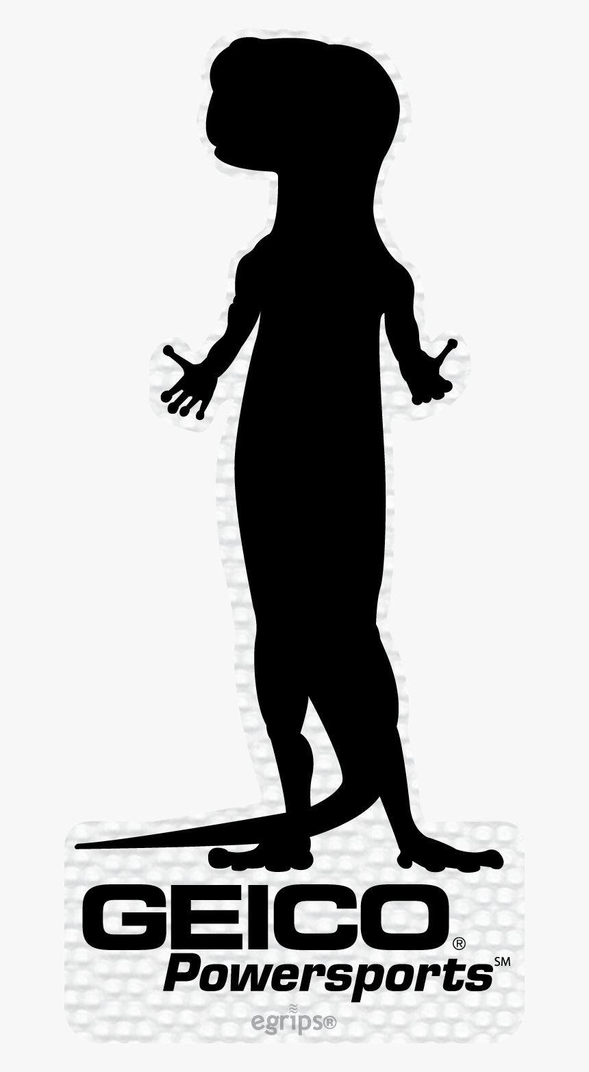 Geico Powersports, HD Png Download