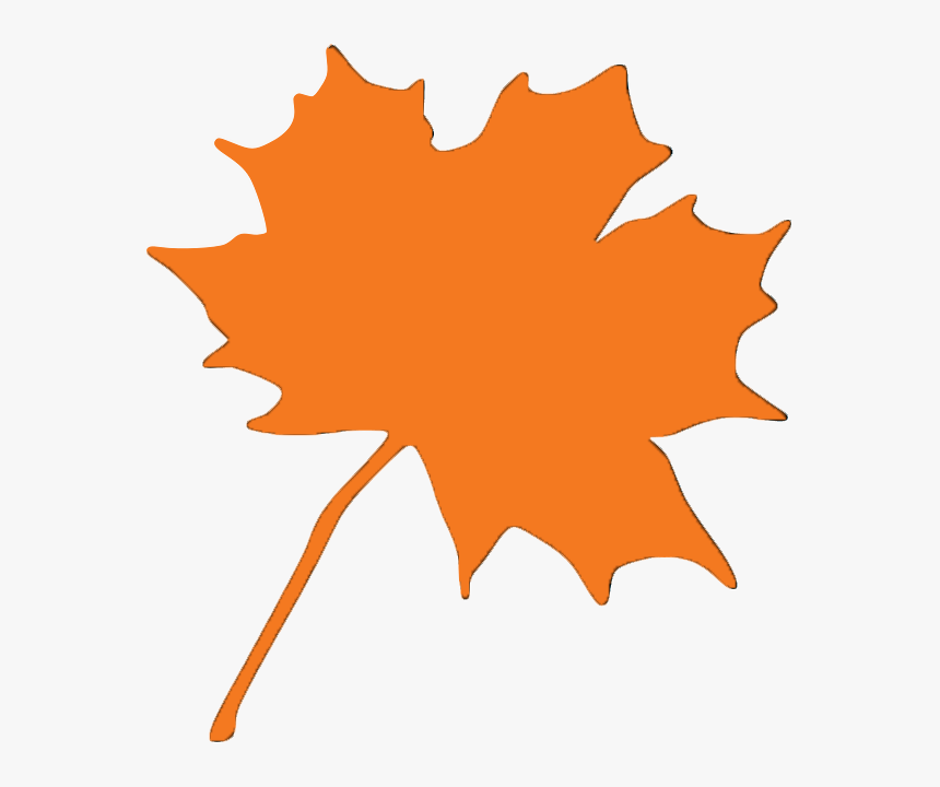 Picture, HD Png Download