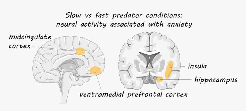 Elisa, HD Png Download