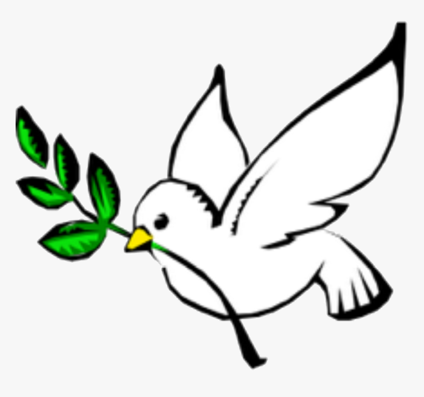 Columbidae Doves As Symbols Peace Olive Branch Clip, HD Png Download