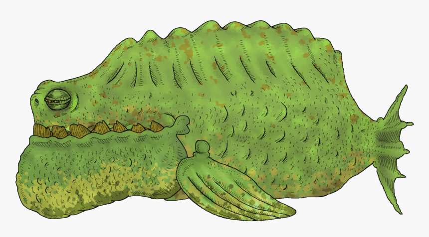 Sleepy Png, Transparent Png