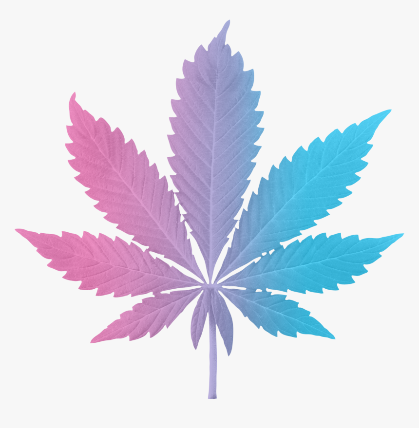 Paradiso Gardens Indica Hybrid Leaf, HD Png Download