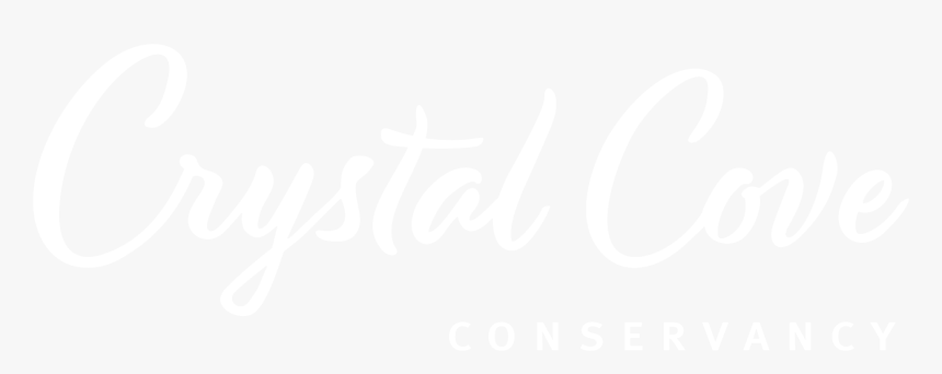 Ccc Png, Transparent Png