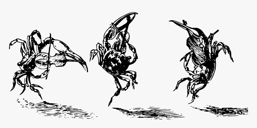 Fiddler Crabs Clip Arts, HD Png Download