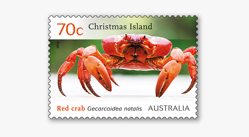 Crabs Png, Transparent Png