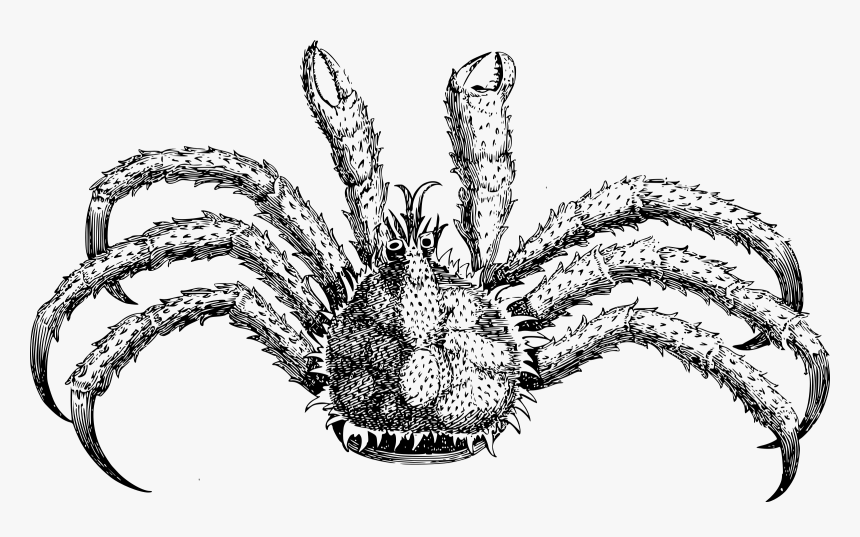 Spiky Crab Clip Arts, HD Png Download