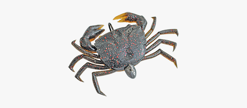 Crabs Png, Transparent Png