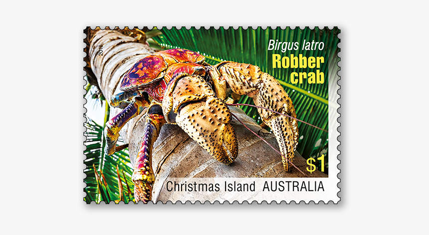 Crabs Png, Transparent Png