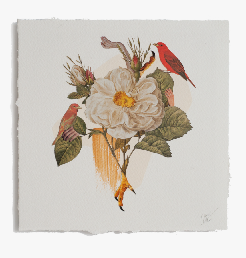 Janna Png, Transparent Png