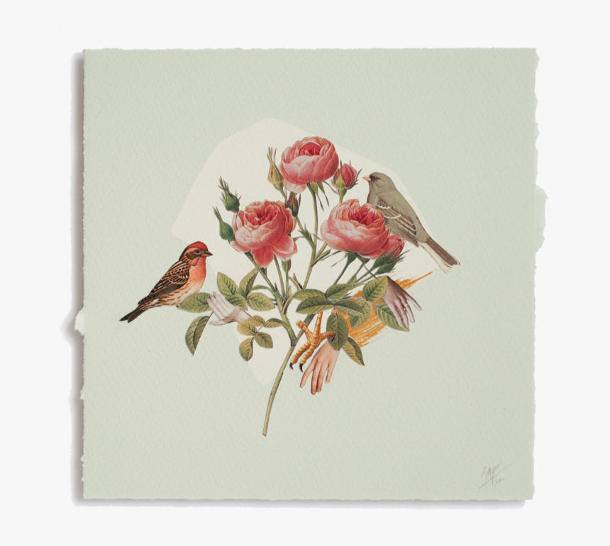 Janna Png, Transparent Png