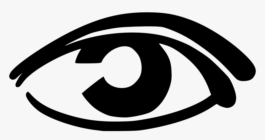 Eyelash Simple Eye In Invertebrates Eyebrow Organ, HD Png Download