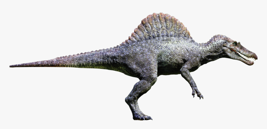 Trex Png Skinny, Transparent Png