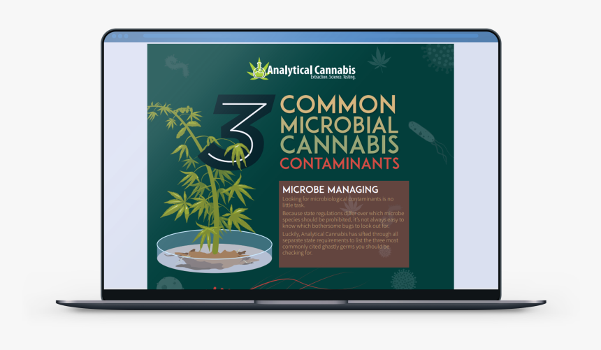 Ghastly Png, Transparent Png