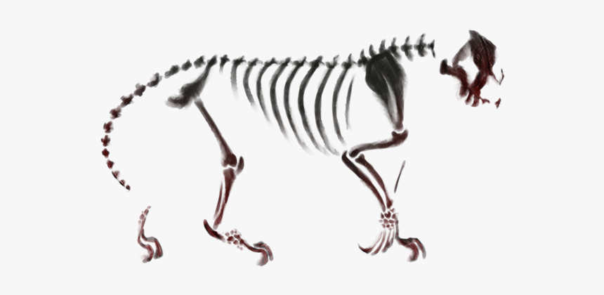 War Paint Png, Transparent Png