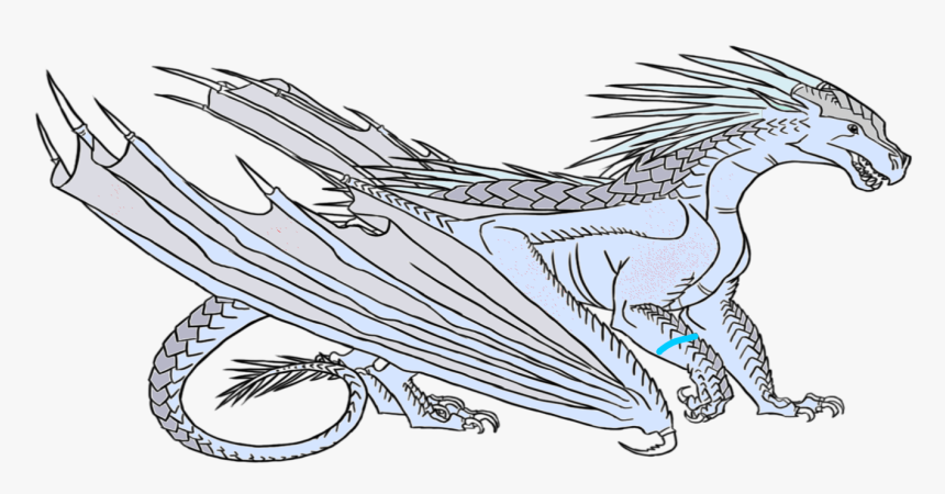 Narwhal Drawing Wing, HD Png Download