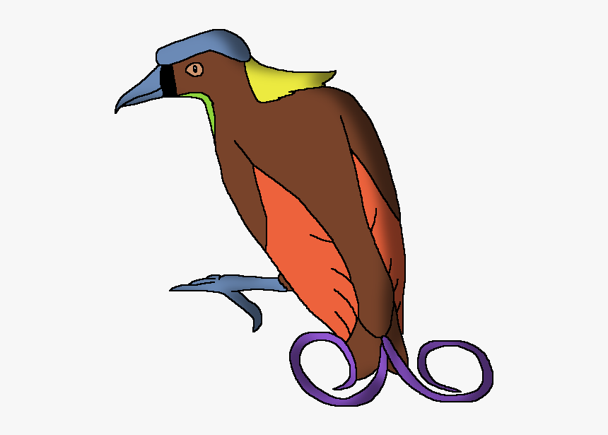 Wildlife Animal Pedia Wiki, HD Png Download