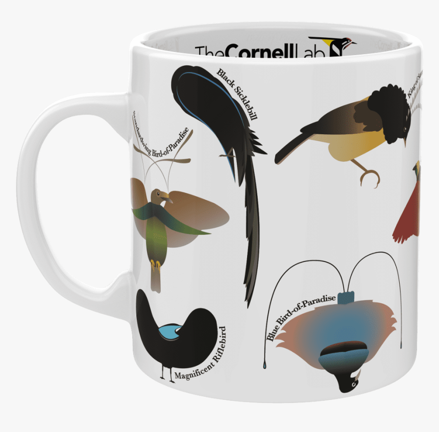 Bird Of Paradise Png, Transparent Png