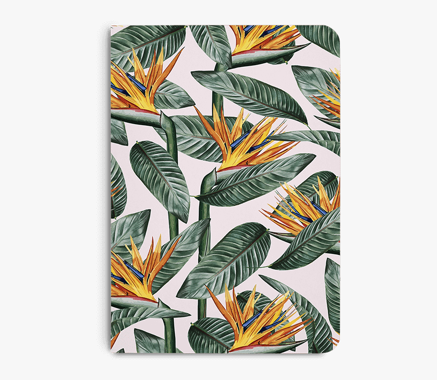 Bird Of Paradise Png, Transparent Png