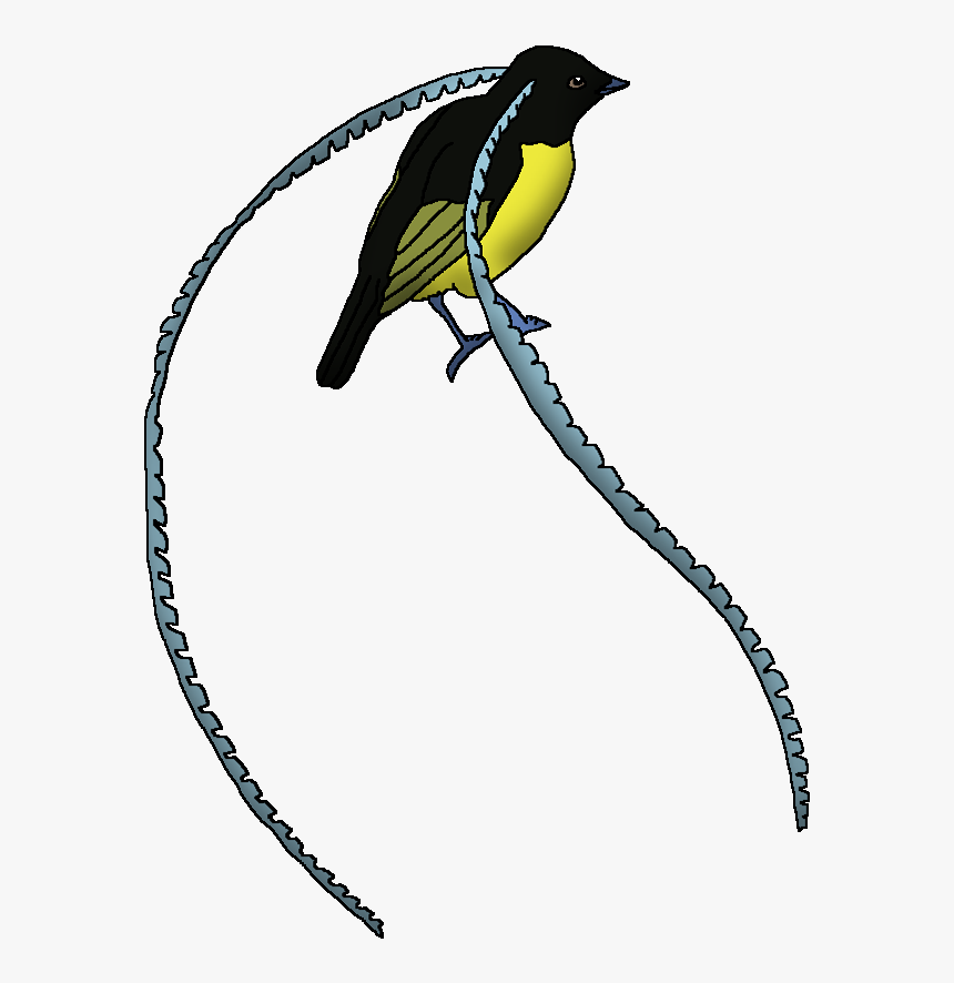 Wildlife Animal Pedia Wiki, HD Png Download