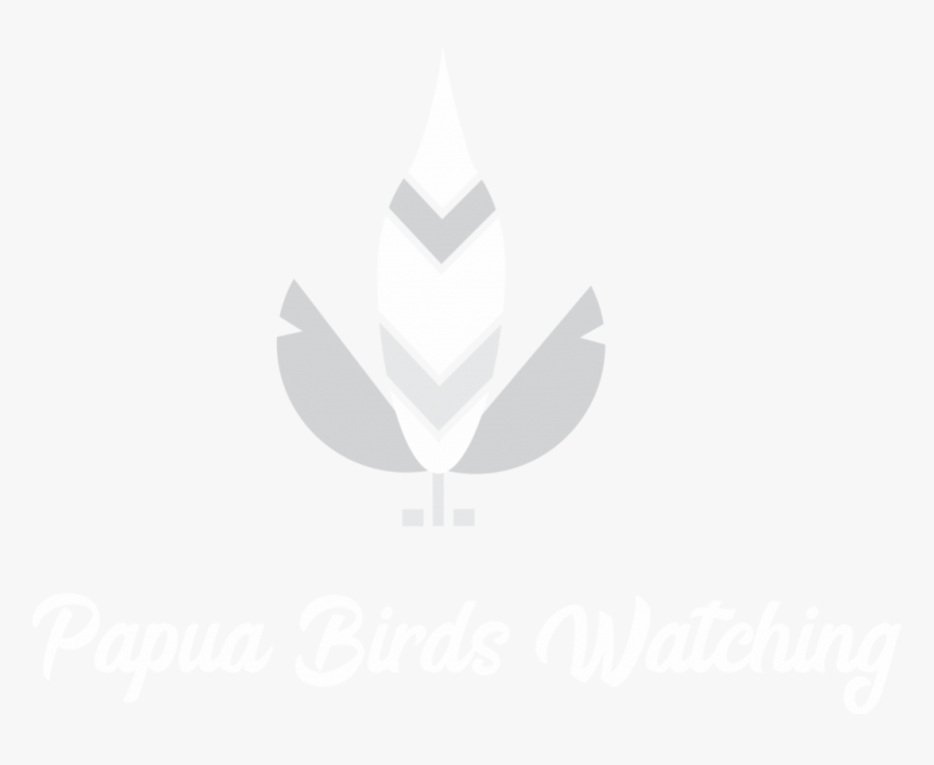 Bird Of Paradise Png, Transparent Png