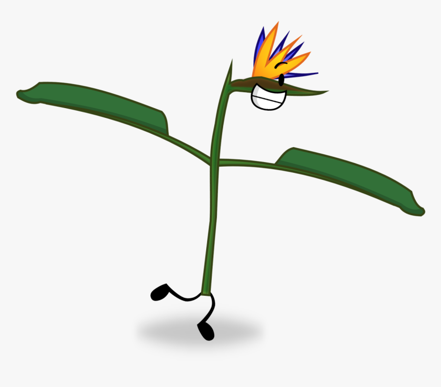 Bird Of Paradise Flower , Png Download, Transparent Png