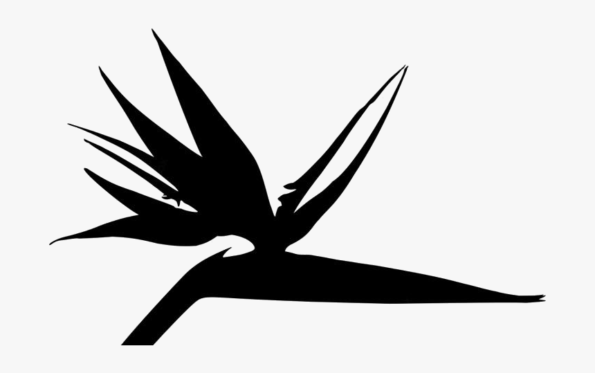 Transparent Bird Paradise Plant Logo, HD Png Download