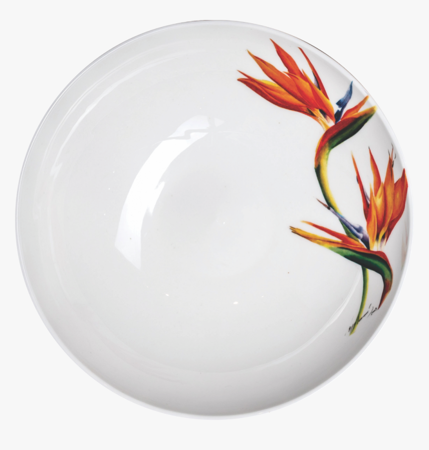 Bird Of Paradise Png, Transparent Png