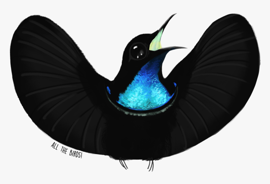 Bird Of Paradise Png, Transparent Png
