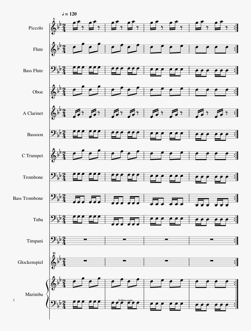 Bird Of Paradise Png, Transparent Png