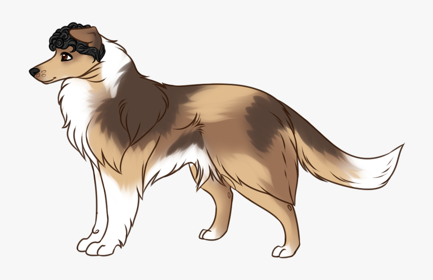 Picture, HD Png Download